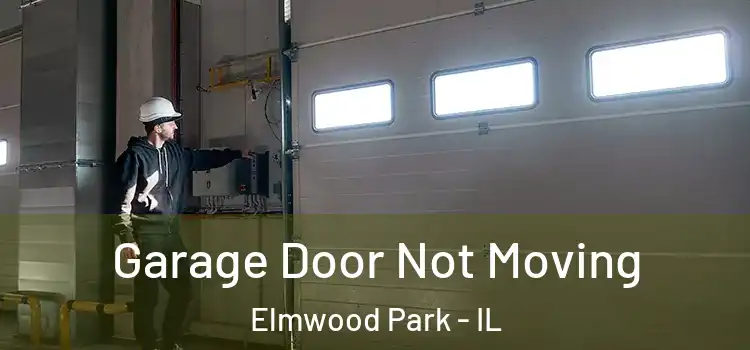  Garage Door Not Moving Elmwood Park - IL