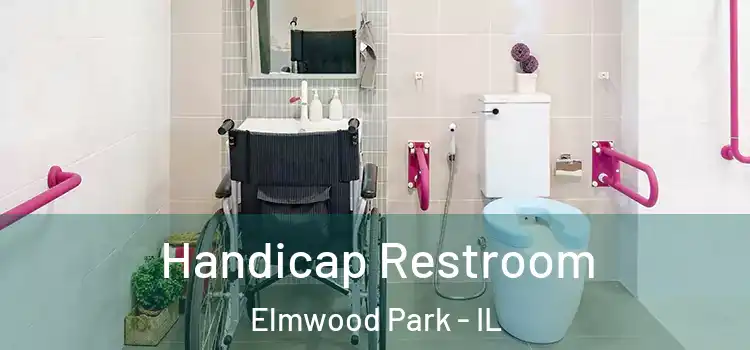  Handicap Restroom Elmwood Park - IL