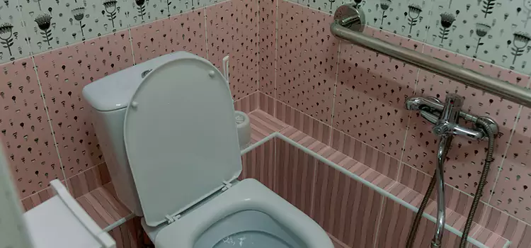 Meeting Diverse Needs With Accessible Restroom Solutions in Elmwood Park, IL