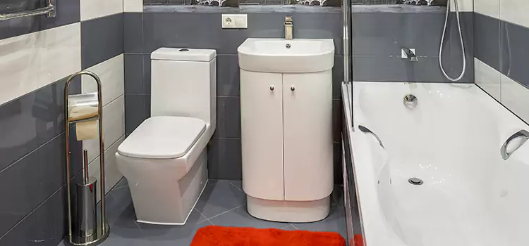 Hansgrohe Shaving Mirror Elmwood Park